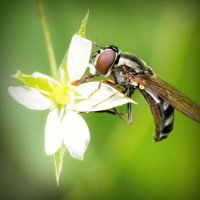/album/tingpachaly/photolia-a02-jpg/