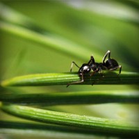 /album/tingpachaly/photolia-a05-jpg/