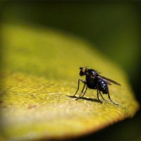 /album/tingpachaly/photolia-a07-jpg/